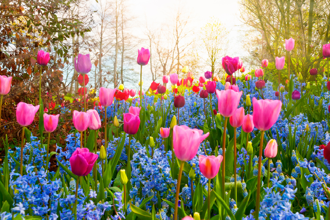 Why Spring Is the Best Time to Upgrade Your Heating System