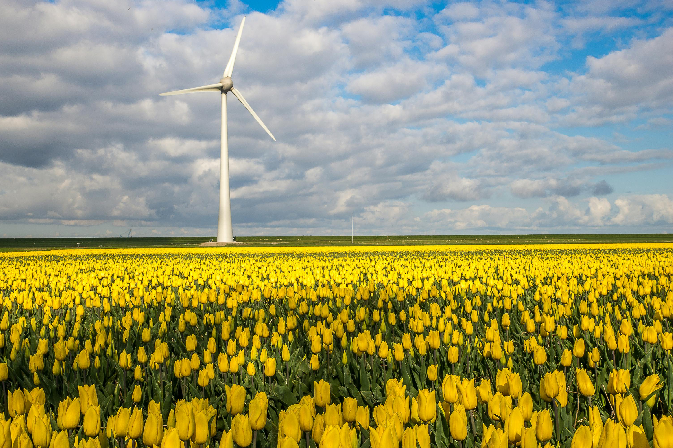 Thinking About Renewable Energy? Here’s Why Spring Makes Sense