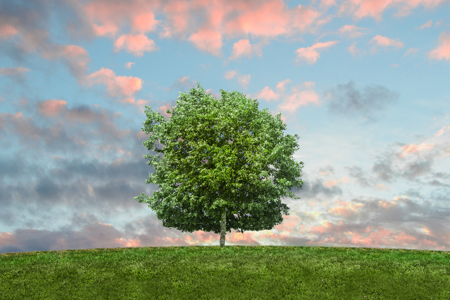Turning Your Blue Monday Green: Eco-Friendly Heating Solutions to Brighten Your Day