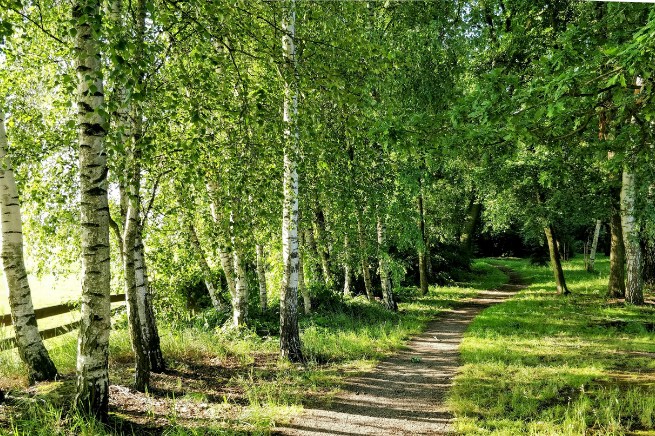 Heating Settings in Summer: Simple Tips for UK Households
